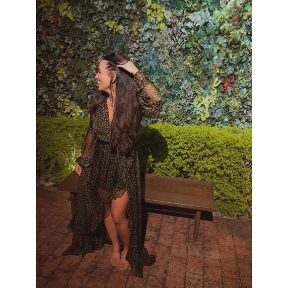 Caroline Constas Vivian Winter Rose 100% Silk V-Neck Ruffles Gown Size Small - Picture 1 of 16